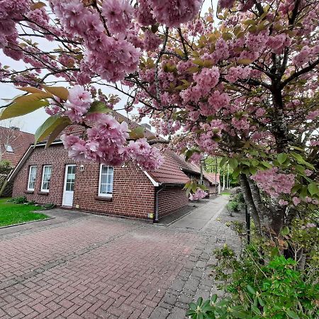 Ebbe Apartman Norden Kültér fotó